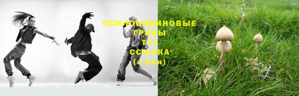 стаф Гусь-Хрустальный