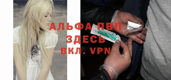 ПСИЛОЦИБИНОВЫЕ ГРИБЫ Гусев
