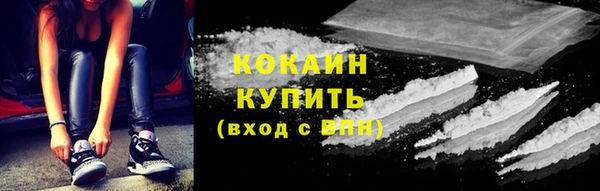 ПСИЛОЦИБИНОВЫЕ ГРИБЫ Гусев