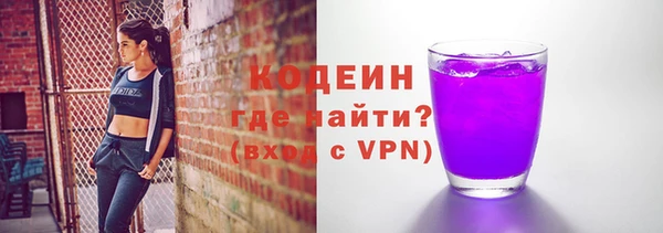 ПСИЛОЦИБИНОВЫЕ ГРИБЫ Гусев
