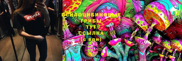 стаф Гусь-Хрустальный