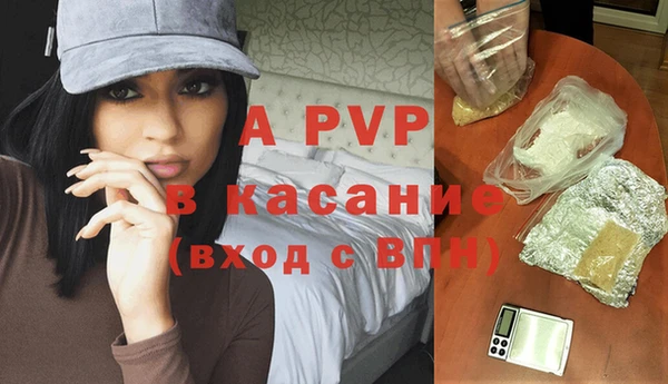ПСИЛОЦИБИНОВЫЕ ГРИБЫ Гусев