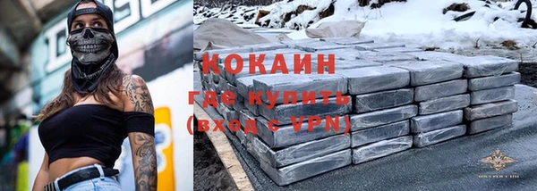 стаф Гусь-Хрустальный