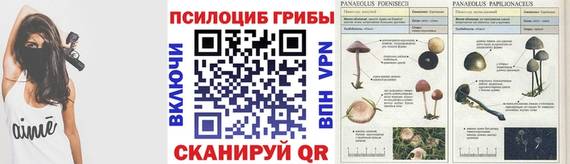 Купить  Покровск  Галлюциногенные грибы мухоморы 